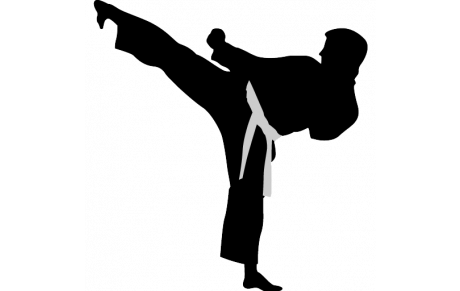 INSCRIPTIONS KARATE 2019 - 2020 !